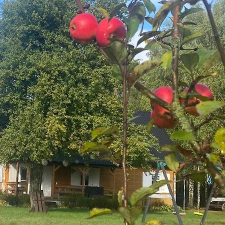Villa Wakacyjny Dom W Sakach à Kleszczele Extérieur photo