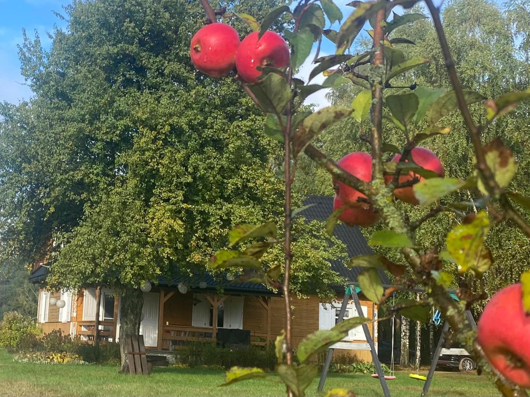 Villa Wakacyjny Dom W Sakach à Kleszczele Extérieur photo